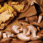 WildMushrooms_opt.png (304 KB)